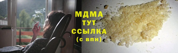 гашик Алексин