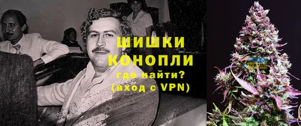 гашик Алексин