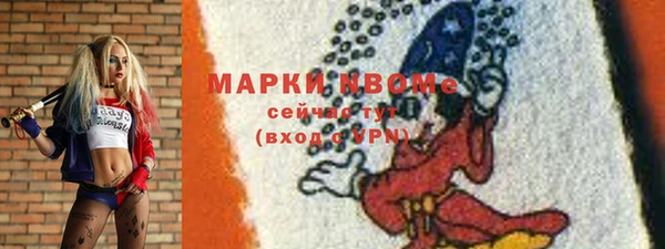 гашик Алексин