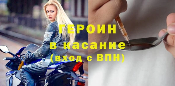 гашик Алексин