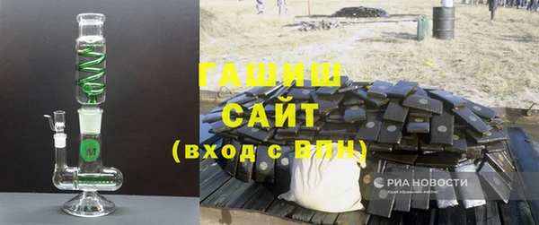 гашик Алексин