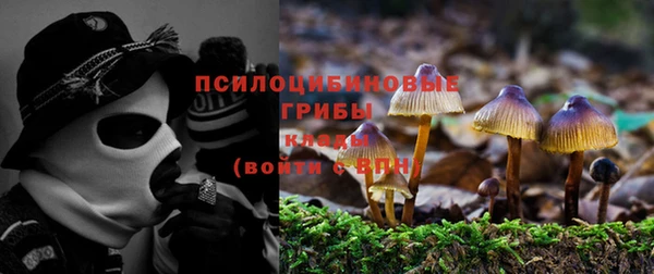гашик Алексин