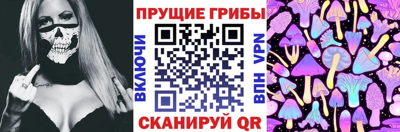 где продают   Алушта  Галлюциногенные грибы Psilocybine cubensis 