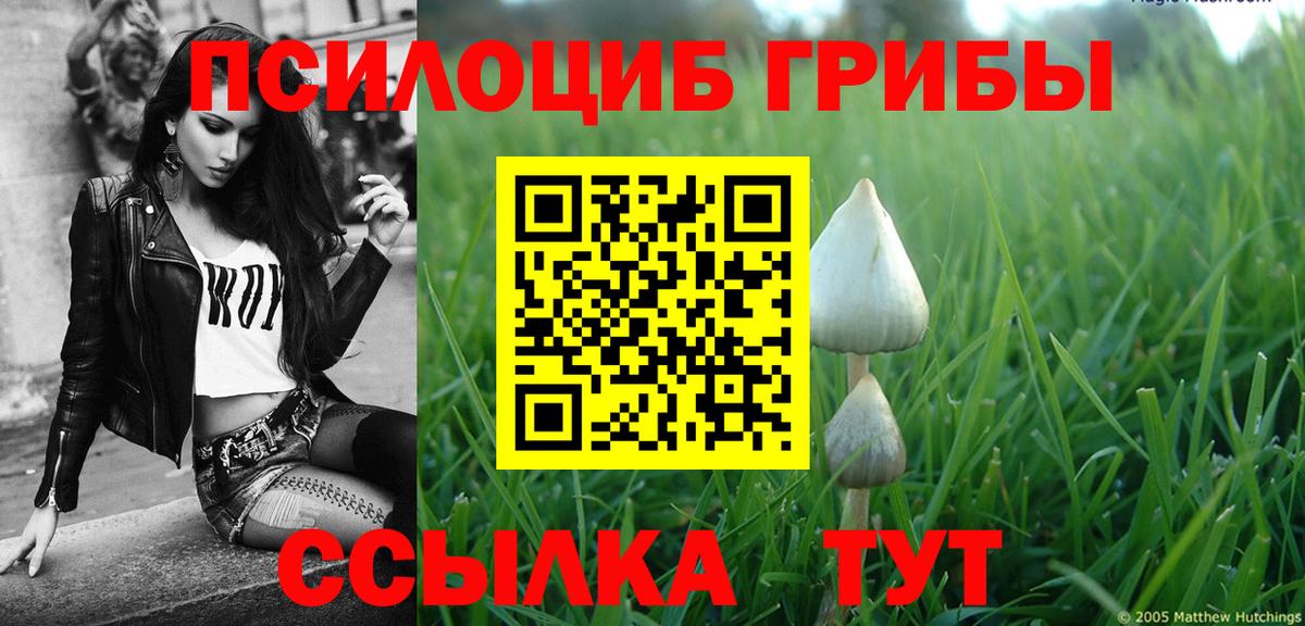что такое наркотик  Псилоцибиновые грибы мухоморы  Алушта  Вход с VPN  Псилоцибиновые грибы Psilocybe 